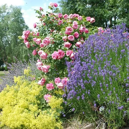 Blume-des-lebens Apartamento Reußenköge